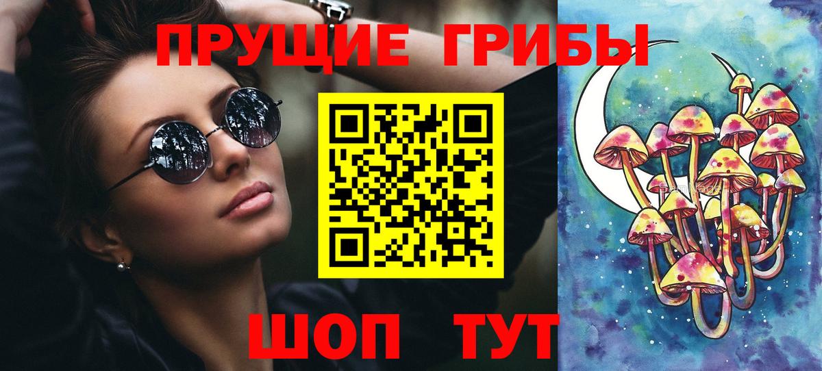 где найти   Вход с VPN  Псилоцибиновые грибы GOLDEN TEACHER  Кольчугино  Псилоцибиновые грибы Cubensis 